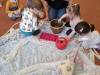 IMG-20250211-WA0081-Copy