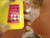 IMG20250212081529-Copy