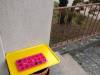 IMG20250212081722-Copy