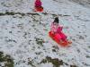 IMG20250213100020-Copy