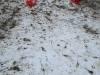 IMG20250213100538-Copy