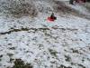 IMG20250213101415-Copy