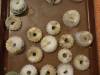 IMG20250214082215-Copy