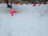 IMG20250214100214-Copy