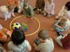 IMG-20250127-WA0031-Copy