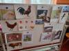 IMG20250324094217-Copy