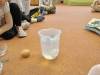 IMG20250326082516-Copy