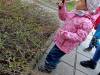 IMG20250328101137-Copy