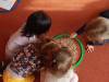 IMG20250402093051-Copy