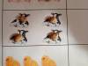 IMG_20250403_214503-Copy