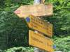 IMG_5580-Copy