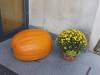 IMG-20231005-WA0036-Copy