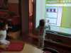 01853d50-e9da-40ea-ad73-7b99be78ab59