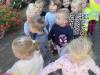 IMG_6677-Copy