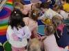 IMG_20250306_095756-Copy