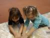 IMG_3184-Copy