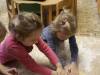 IMG_3186-Copy