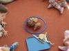 IMG_20250930_095945-Copy