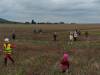 IMG_20251001_104415-Copy