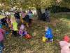IMG_7350-Copy