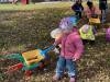 IMG_7351-Copy