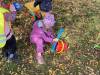 IMG_7353-Copy