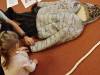 IMG-20241122-WA0040-Copy