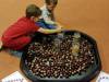 IMG_20251015_070850-Copy