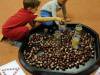 IMG_20251015_070853-Copy
