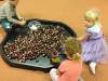 IMG_20251016_074555-Copy
