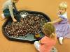 IMG_20251016_074557-Copy