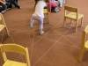 IMG_7594-Copy