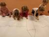 IMG-20250117-WA0037-Copy