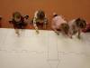 IMG-20250117-WA0041-Copy