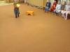 IMG-20250117-WA0088-Copy