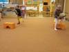 IMG-20250117-WA0096-Copy