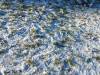IMG-20250117-WA0124-Copy
