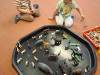IMG-20250602-WA00061-Copy