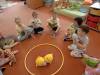 IMG20250605080058-Copy