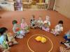 IMG20250605080135-Copy