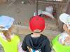 IMG20250605100133-Copy