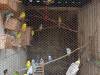 IMG20250605100259-Copy