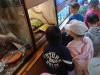 IMG20250605100545-Copy