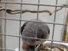 IMG20250605100934-Copy