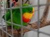 IMG20250605101015-Copy