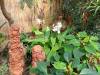 IMG20250605101218-Copy