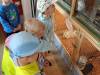 IMG20250605101318-Copy