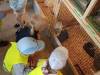 IMG20250605101320-Copy