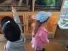 IMG20250605101333-Copy