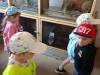 IMG20250605101339-Copy